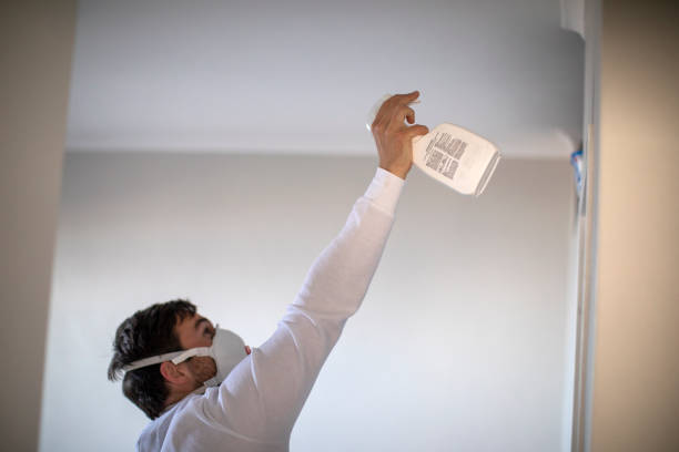 Best Mold Damage Repair  in Silt, CO